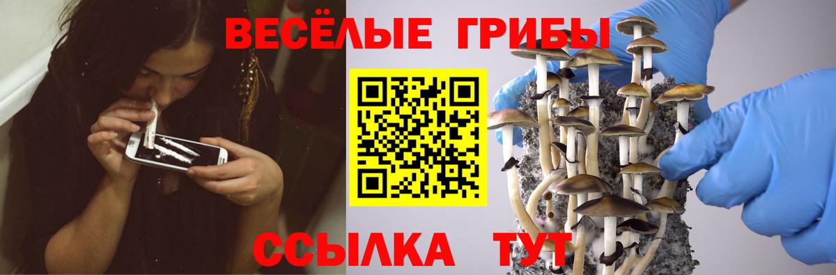 Галлюциногенные грибы Magic Shrooms Абакан